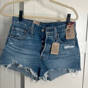 Levi's Women's Distressed Blue Jean Shorts